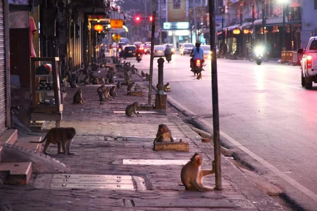 Pee Homestay Lopburi Ban Tha Krayang Esterno foto