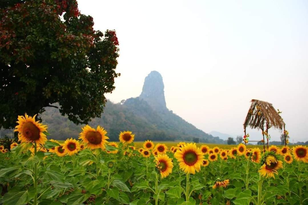 Pee Homestay Lopburi Ban Tha Krayang Esterno foto