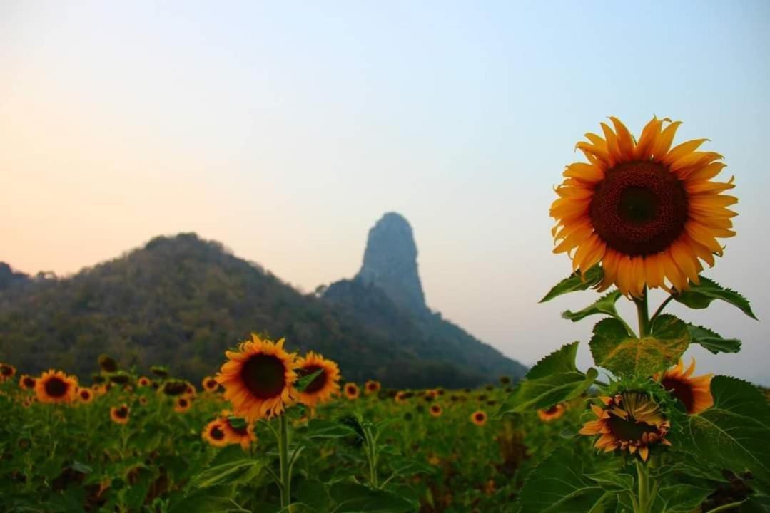 Pee Homestay Lopburi Ban Tha Krayang Esterno foto